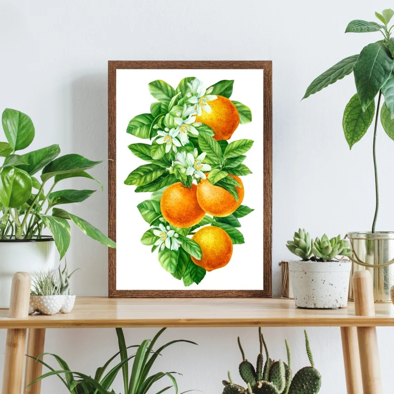 Poster zitrusblüten und reife orangen – Wallnifity® Poster zitrusblüten und reife orangen – Wallnifity®