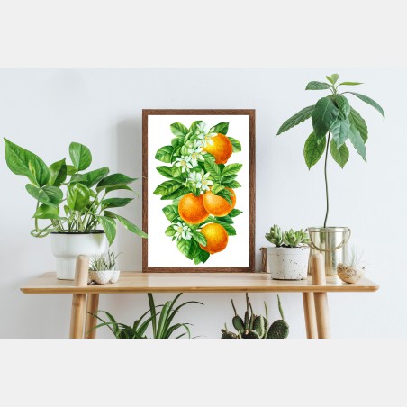 Poster zitrusblüten und reife orangen – Wallnifity®