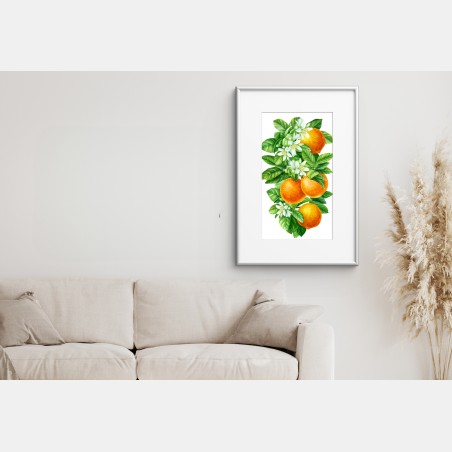 Poster zitrusblüten und reife orangen – Wallnifity®