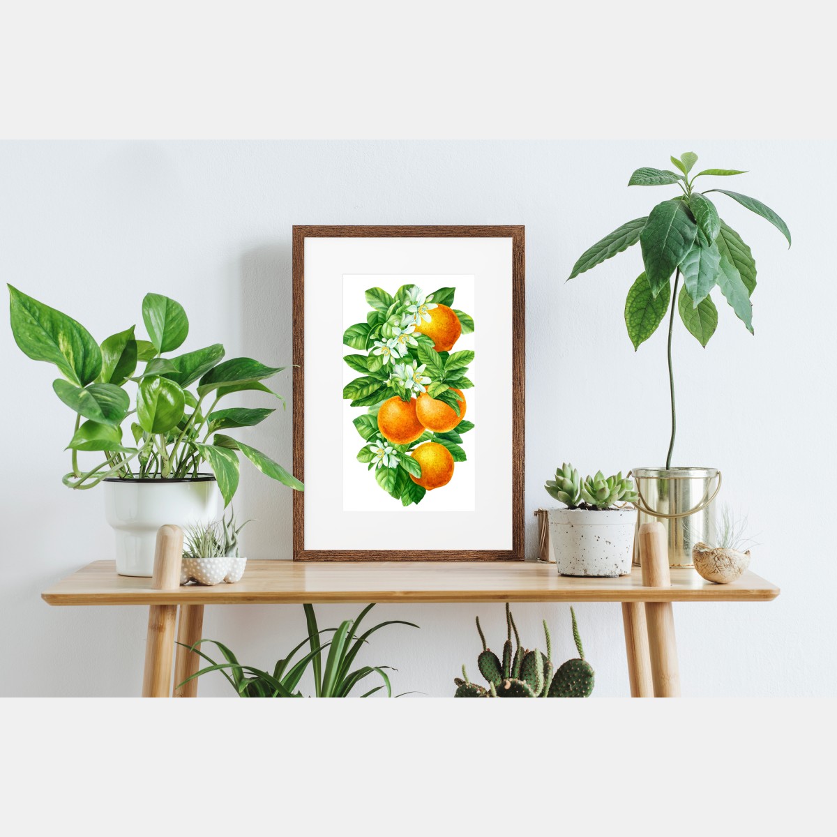 Poster zitrusblüten und reife orangen – Wallnifity®