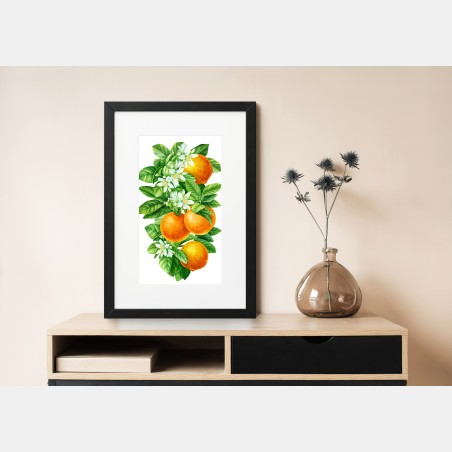 Poster zitrusblüten und reife orangen – Wallnifity®