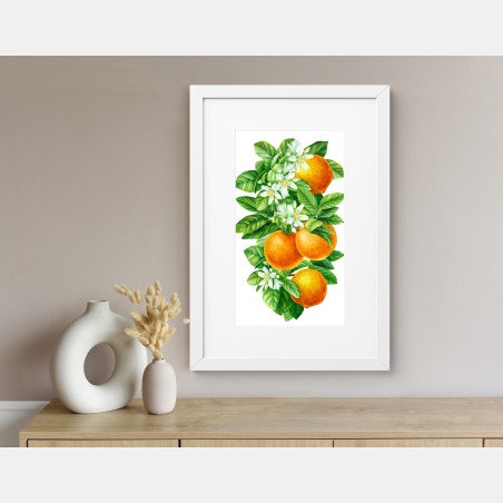 Poster zitrusblüten und reife orangen – Wallnifity®